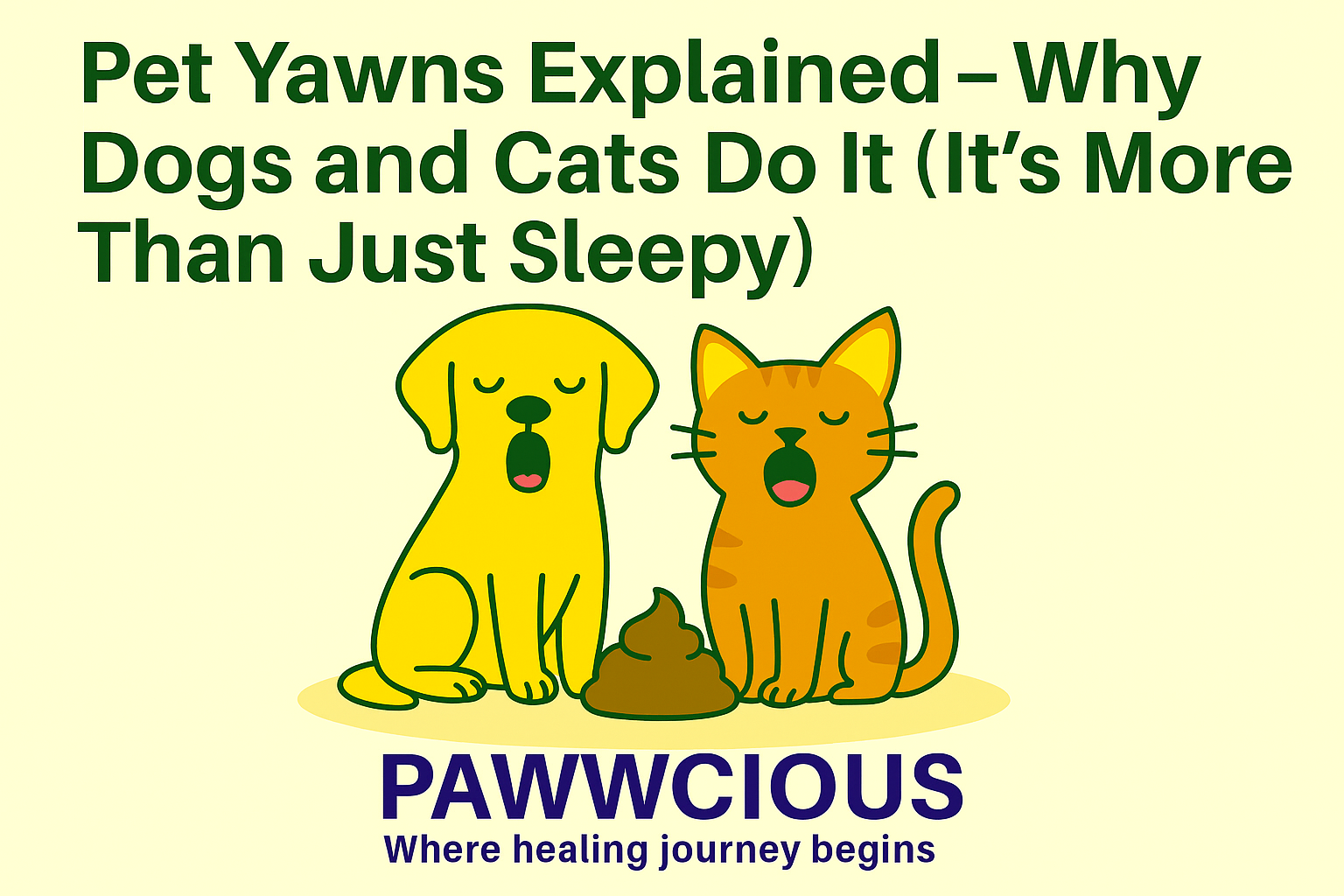 Yawning in pets isn’t just about sleepiness – discover the hidden reasons behind it.