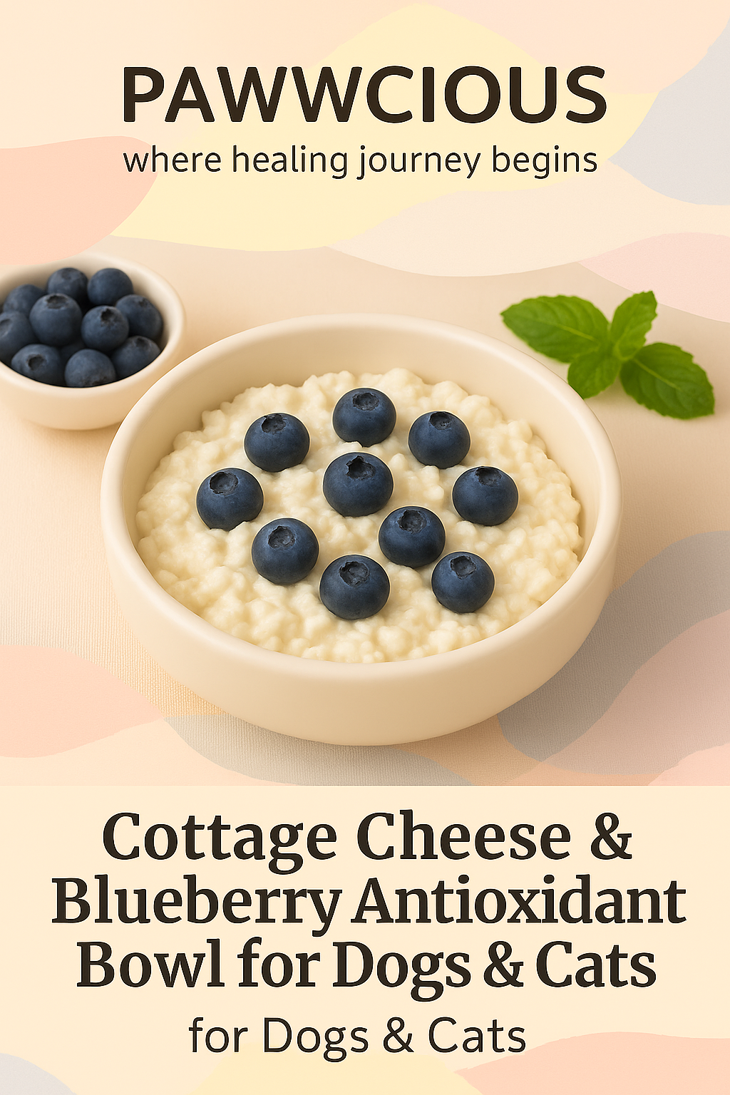 Pawwcious® Cottage Cheese & Blueberry Antioxidant Bowl – immunity in every bite