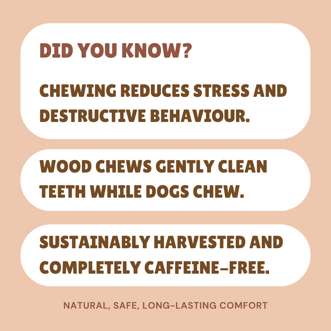 Pawwcious Coffee Wood Chew - Image 5