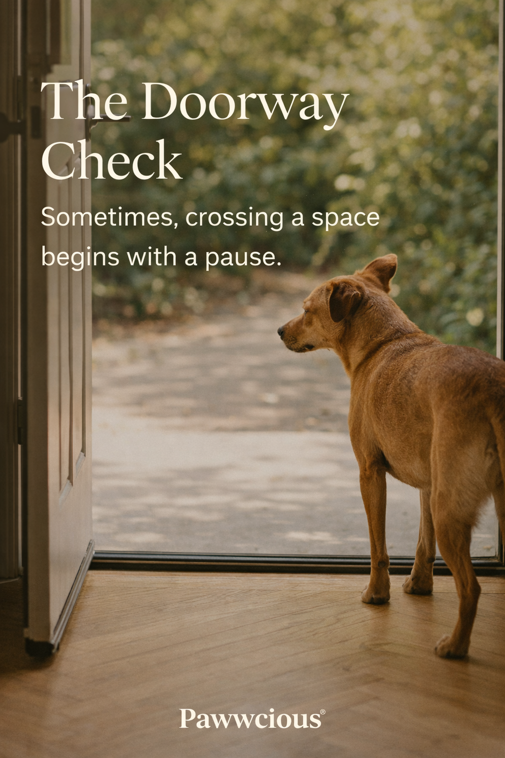 Sometimes, crossing a space begins with a pause.