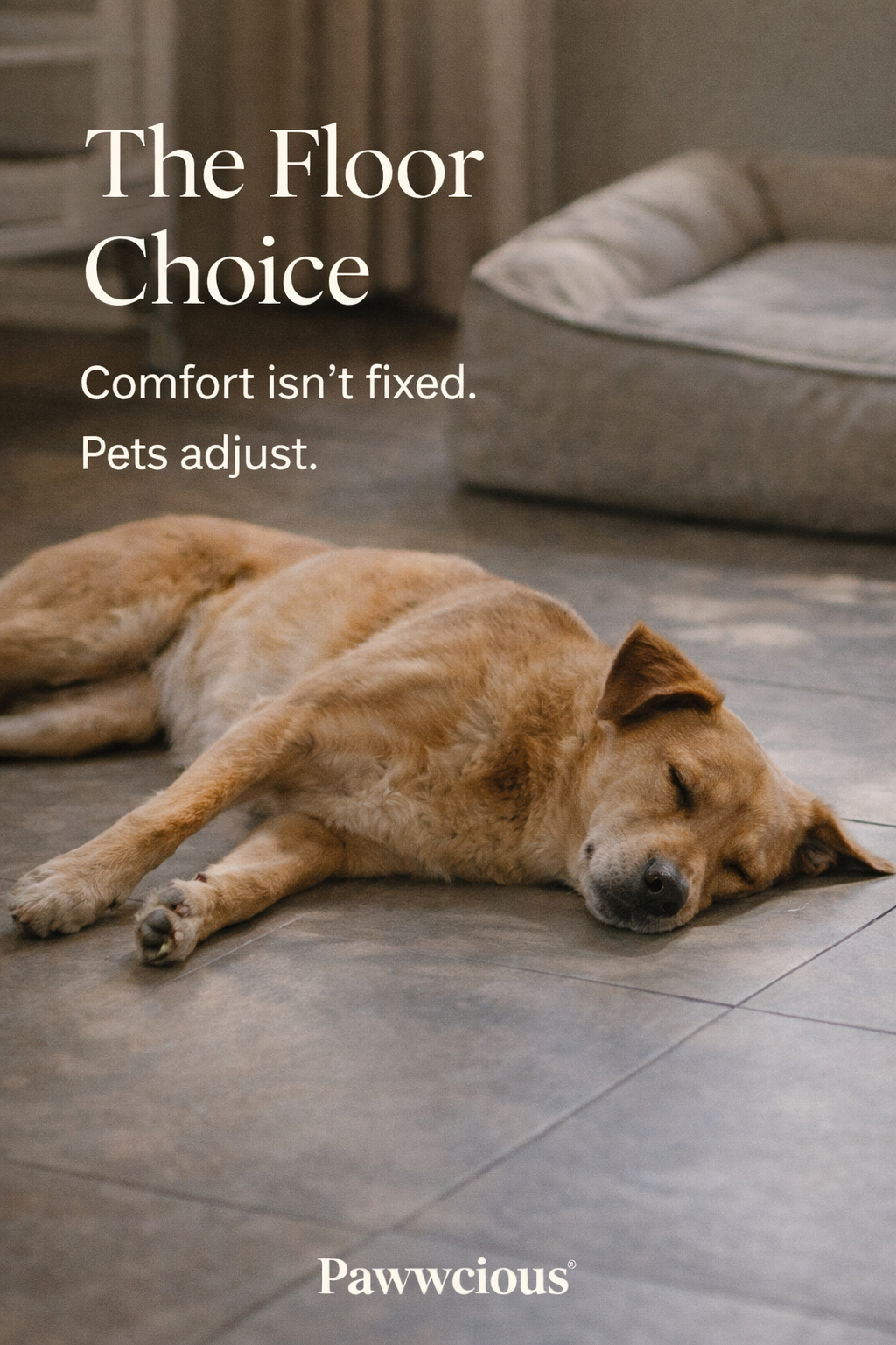 Comfort isn’t fixed. Pets adjust.
