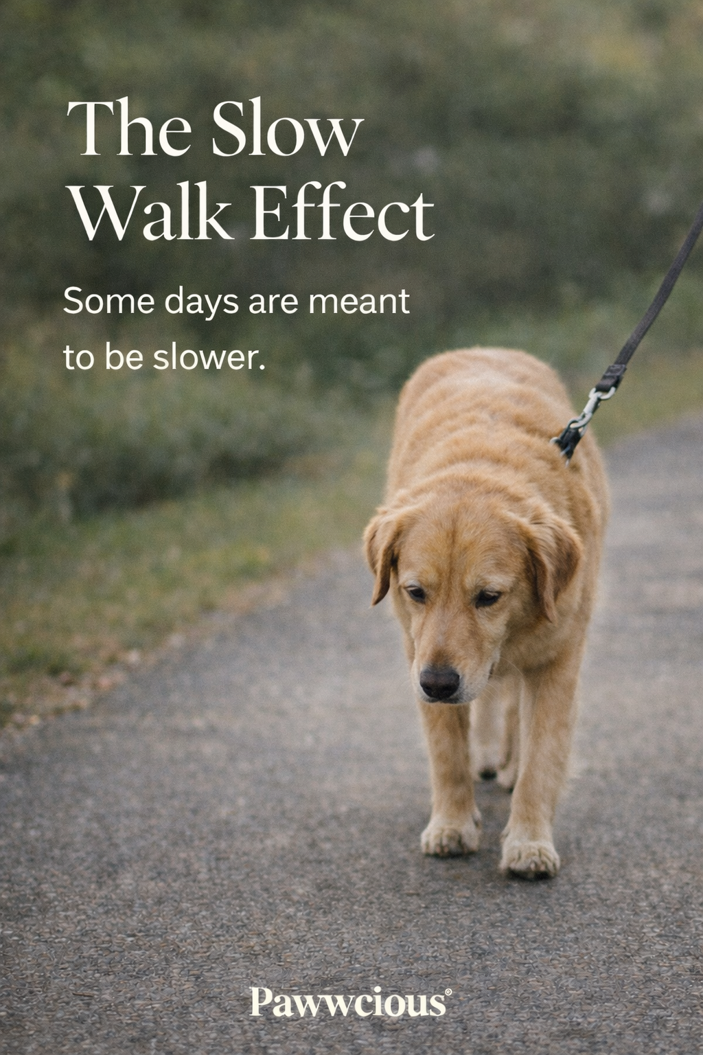 Some days are meant to be slower.