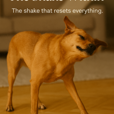 The shake that resets everything.