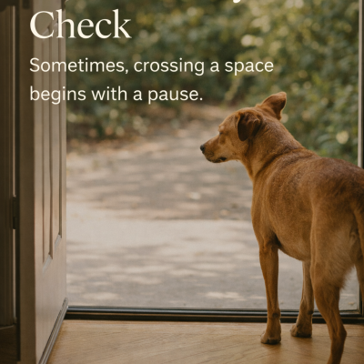 Sometimes, crossing a space begins with a pause.