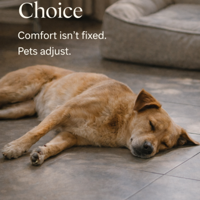 Comfort isn’t fixed. Pets adjust.