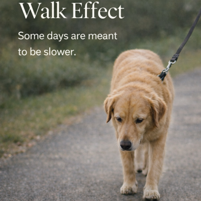 Some days are meant to be slower.