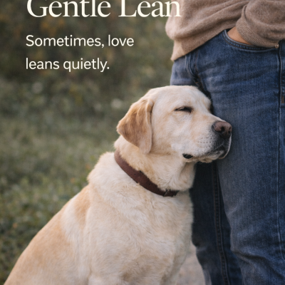 Sometimes, love leans quietly.