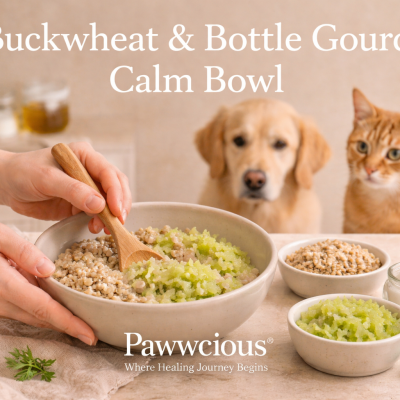 A light buckwheat and bottle gourd bowl crafted by Pawwcious® to support calm digestion and daily comfort for dogs and cats.