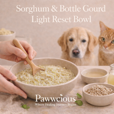 A light sorghum and bottle gourd bowl crafted by Pawwcious® to support digestive reset and everyday comfort in dogs and cats.