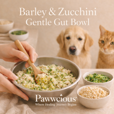 A light barley and zucchini bowl crafted by Pawwcious® to support gentle digestion in dogs and cats.