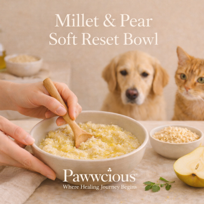 A light millet and pear bowl crafted by Pawwcious® to support digestive balance and emotional calm in pets.