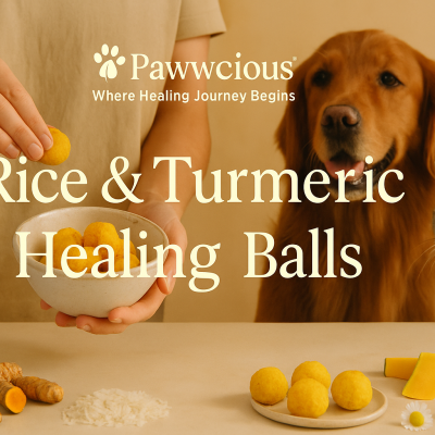 Soft golden healing balls combining rice, turmeric, and coconut oil — crafted by Pawwcious® for joint support and gentle recovery.