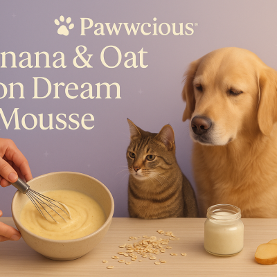 A soothing bedtime mousse made with banana and oats — crafted by Pawwcious® to comfort your pet’s tummy and mind before sleep.