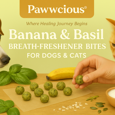 Natural breath-freshening bites made with banana, basil, and coconut oil — gentle, aromatic, and healthy.