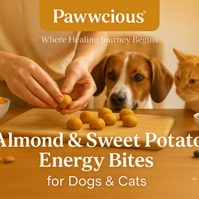 Chewy golden treats made with almond butter and sweet potato — crafted for natural energy and vitality.